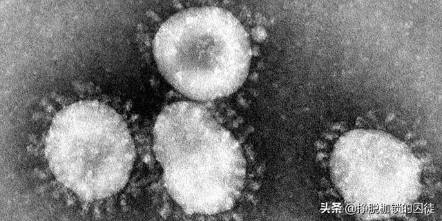 新型冠状病毒几天会死亡:新型冠状病毒可怕吗？怎样预防？
