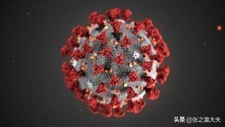 新冠现在是什么病毒:变异新冠病毒是什么意思