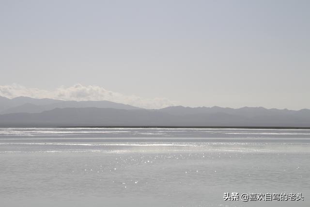 saluki在西宁的足迹:从河南洛阳到宁夏，青海自驾8天，什么线路合适？