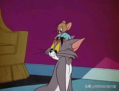 云南的叫《大洋芋小咪渣》?(11个回答)