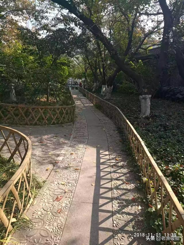 回到现代:在动画中，犬夜叉多次回到现代日本，难道街上没有摄像头吗？
