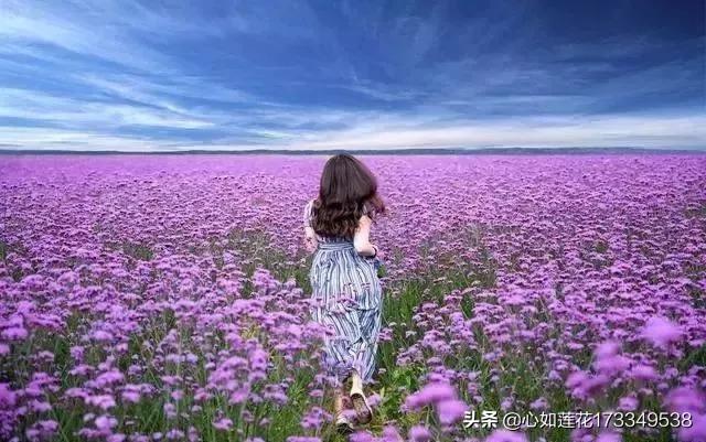 怎么改变一个人的心态:心累怎么调整心态？有什么值得推荐的经验吗？(心情不好怎么调节心态)