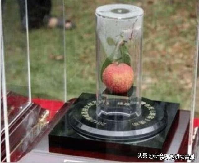 西园寺公一:除了福原爱，石川佳纯，伊藤美诚会成为下一个中国人喜欢的人吗？