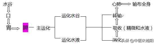 如何识别:如何识别图片文字 我们的大脑是如何识别不同人的脸的？