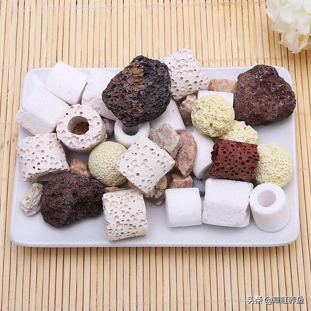 小型热带鱼用什么滤材比较好？