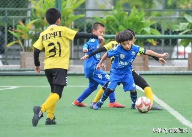 白岩松简介:为什么敬一丹老师说把这个主持人告诉白岩松是很高的评价？