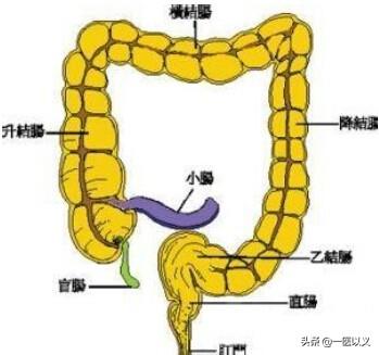 匹维溴铵片治什么病;匹维溴铵片治什么病作用是什么