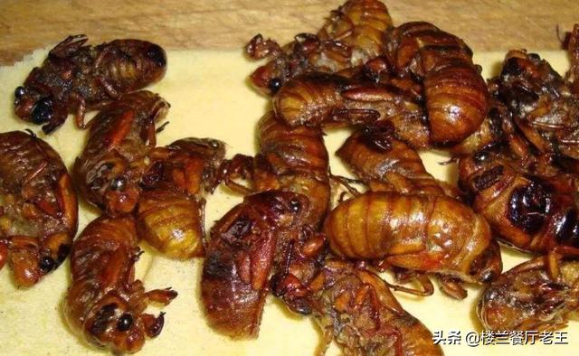 重口味网名吧:你们吃过哪些重口味的食品