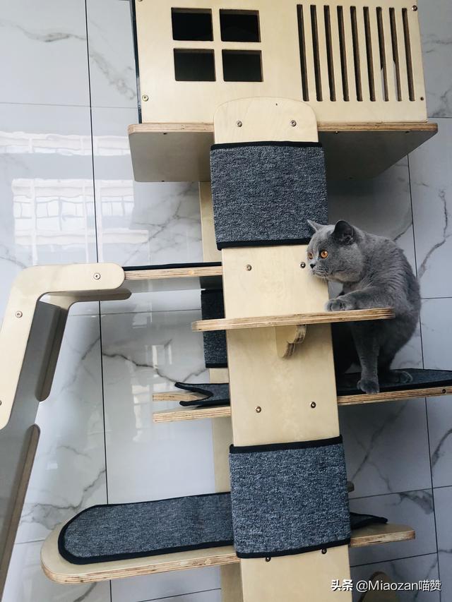 班卓 猫爬架:请买过猫爬架的人来说说买猫爬架值得吗，有什么优缺点呢？