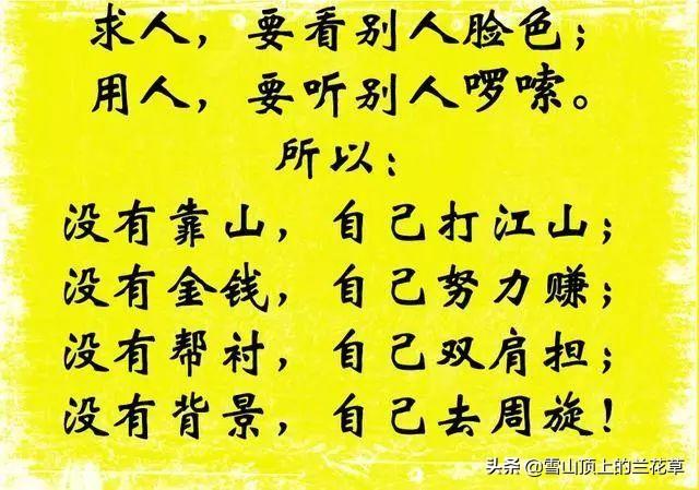 成年人在任何时候真正的能依靠的只有自己,有道理吗？为什么？