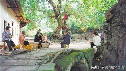 花都灵异事件6:你们小时候有没有听过特别恐怖的事情？