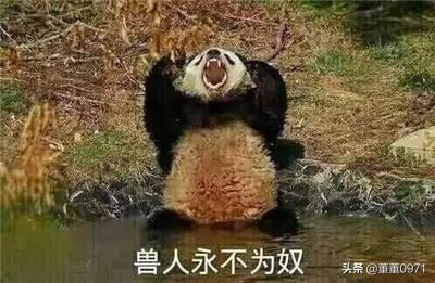 《魔兽世界》橙色披风怎么获得？