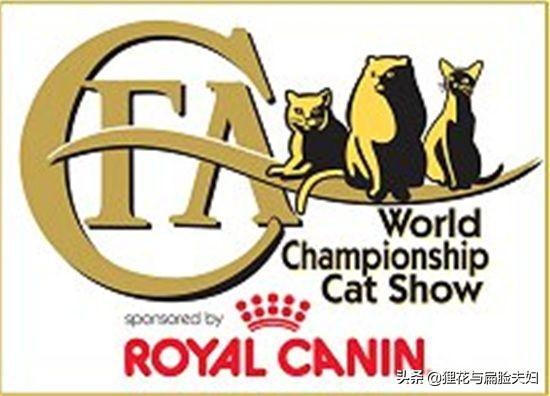 宠物猫的品种及图片:猫的繁殖能力如此强，为什么名种猫还卖那么贵？ 宠物猫的品种及价格图片大全