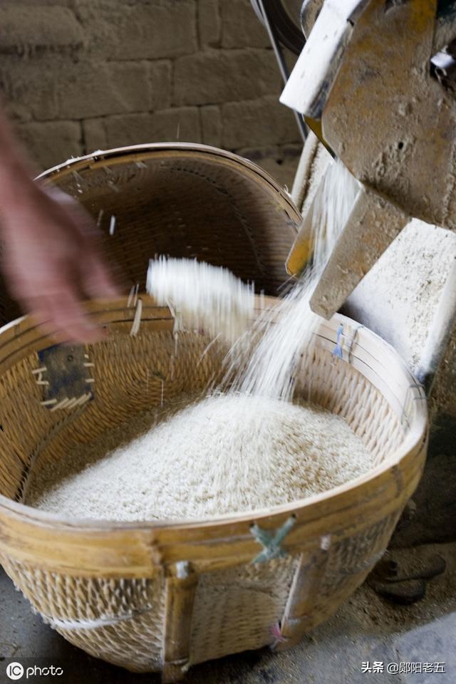 头条问答 - 水稻磨米有什么注意事项吗?(6个回答)