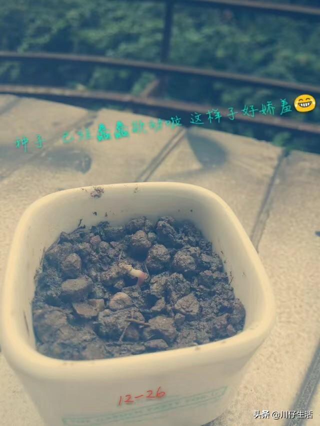 在高速上,你遇到过什么搞笑的事情吗？