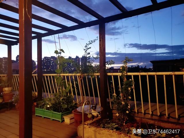 我家住在顶楼，最近想在楼顶搞一个空中花园，能否请大家提供好思路？插图11