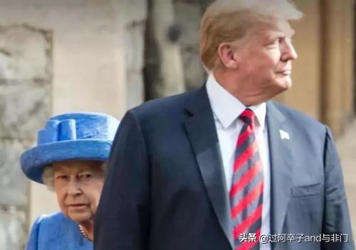 英国女王的狗狗:宠物纠纷，狗狗咬死了别人家的狗狗。我该怎么处理？