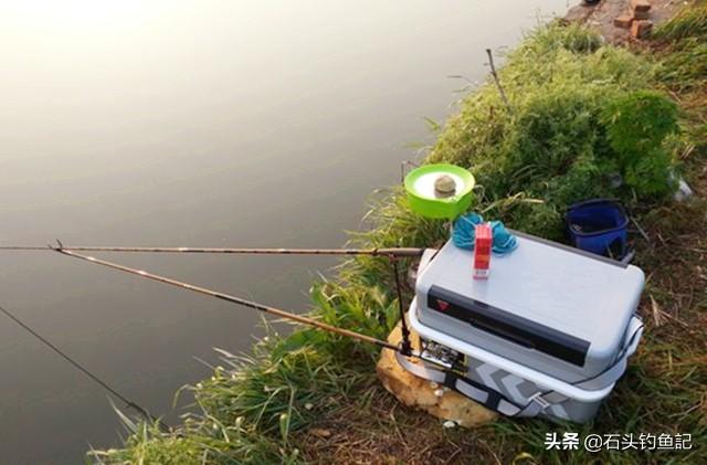 鸟虫鱼论坛:有些珠宝为何要设计成蛇、鸟、鱼、虫的外观？