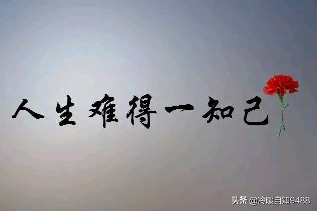 人生难得一知己,千古知音最难觅,大家对这句话怎么理解?-惠修网
