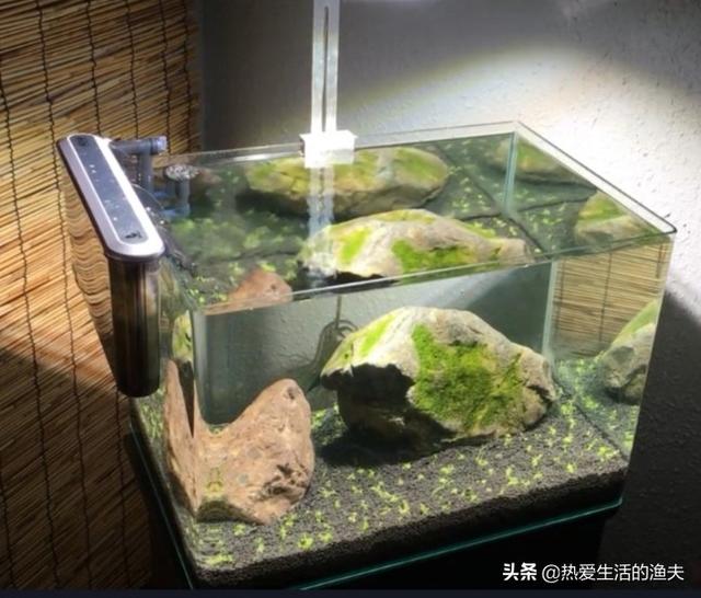 过滤桶:养鱼用什么过滤桶比较好？