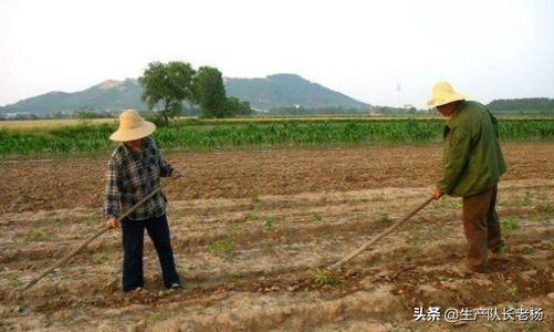 依靠独角仙能发家致富吗，依靠副业可以发家致富吗你怎么看