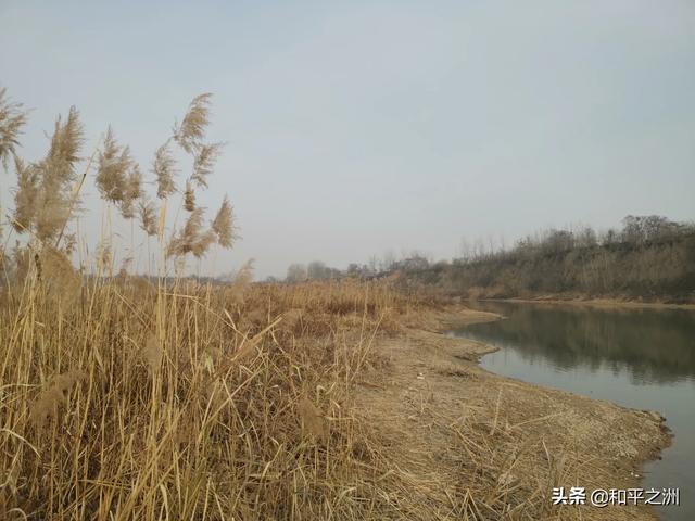 盘点2019年最具有影响力的电视剧是哪部？