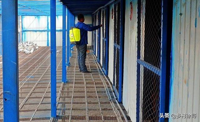 三类环境消毒要求:家禽养殖场要怎样进行消毒才有效？