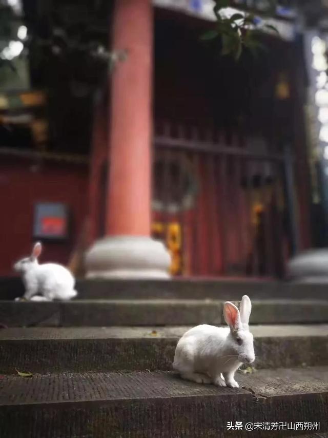 梦到卫星坠落爆炸,你有过哪些神奇而又可怕的梦境？