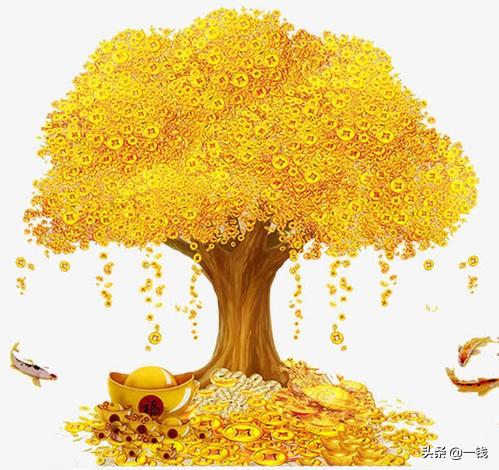今年怎么理财靠谱？