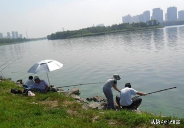 哈尔滨江边灵异事件:那些整天在江边支很多杆子钓鱼的一般是些什么人？