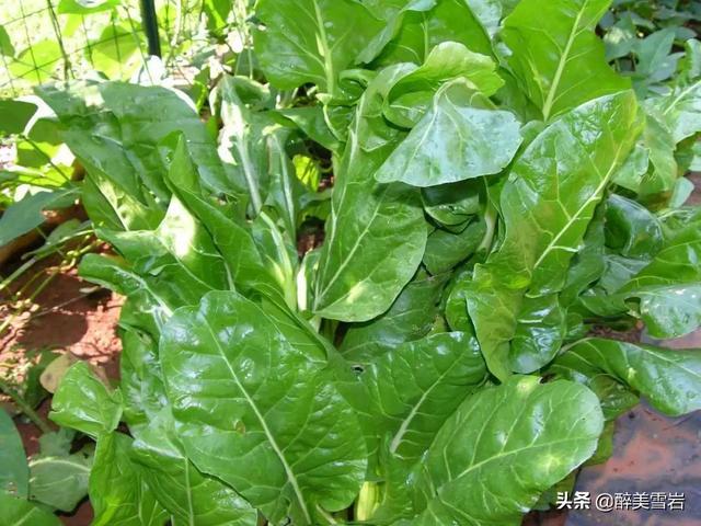 戴更基pdf百度云:如果我有三百万，是分开存款安全呢？还是都存在一个银行安全？