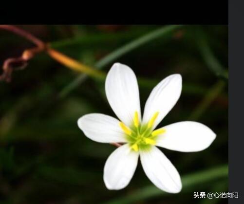 好友父亲去世了我该如何安慰她？