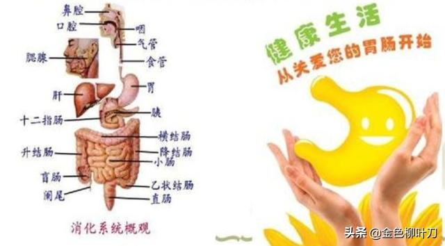 拉粑粑有血:拉粑粑有白色的粘稠物 大便带血除了痔疮外，还有什么原因引起？