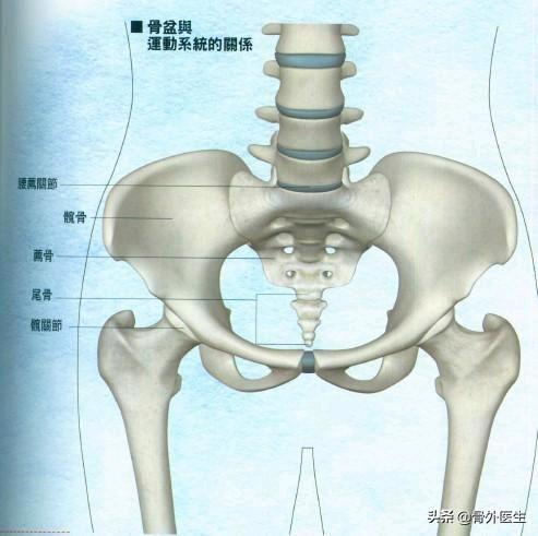 骨盆骨折的术前护理要点:骨盆骨折手术前腿没知觉，手术后十天腿麻木疼痛怎么回事？