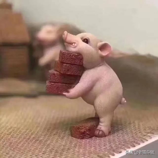 我现在银行存款有2万多块,请问做什么生意能一天赚2000元？