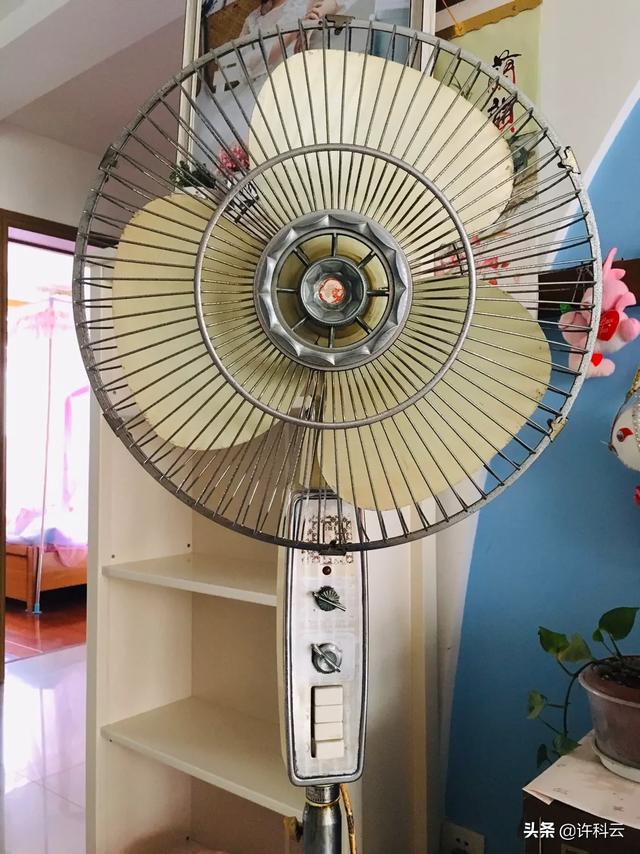我有一台电扇,通电只有电流声,用手拨扇叶也不转,什么原因？