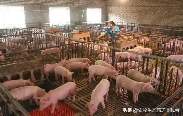 现在想要投资建一个小规模的养猪场,国家有什么优惠政策吗？