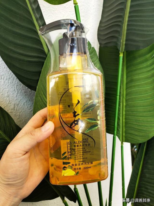 含硅油的洗发水有哪些？有哪些无硅油的可以推荐？