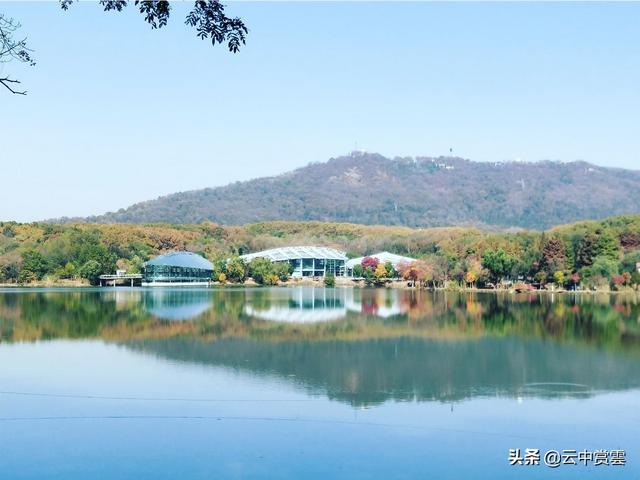 目前市场与2015年有何不同，2015年以来，我国旅行社业面临的市场环境有哪些突出变化