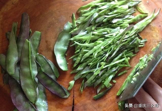 老婆耳朵豆角什么时间种?-图6