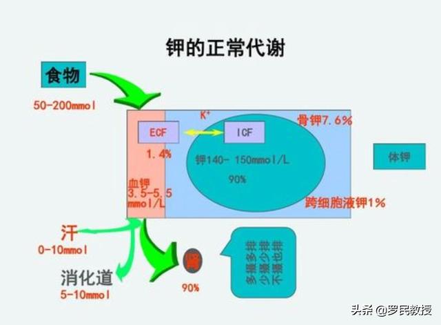 低钾血症的症状有哪些