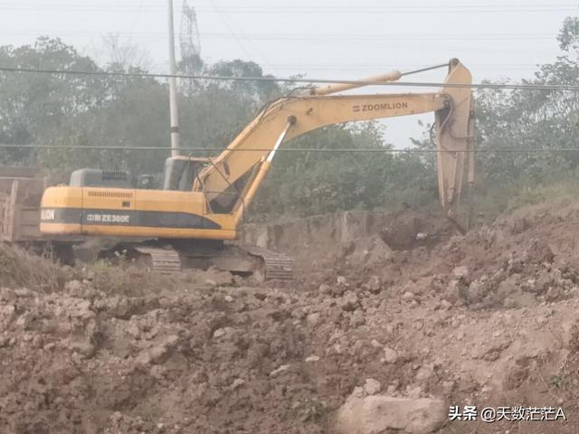 花鳗鲡池塘养殖的效果:我想养殖黄鳝，不知道黄鳝对环境有什么要求？求答案？