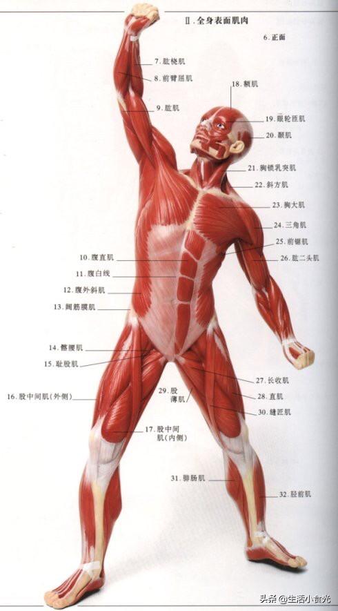 头条问答 - 最近全身肌肉痛,站也不是,睡也不是,有什么办法缓解一下?