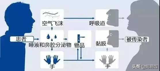 染上新型冠状病毒几天会死:新型冠状病毒在自然环境下，可以生存多少时间？
