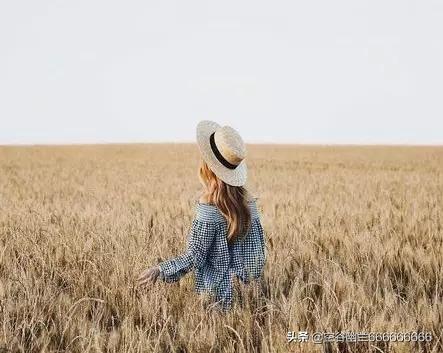 北京妈妈贵宾网:妈妈在家很孤独，想给老人家养一狗，有什么推荐吗？