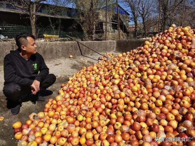 鳄梨价格:为什么会有人不喜欢吃牛油果？