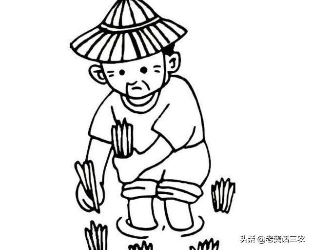 农村小麦小麦即将收割被无名大火给烧啦能寻求补偿吗