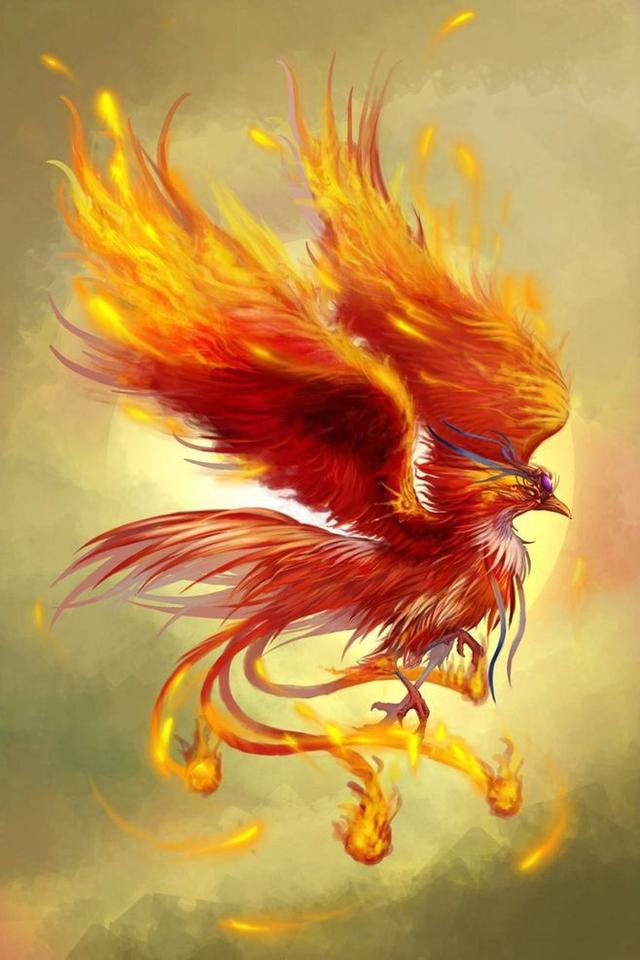 头条问答 - 远古传说的凤凰可能是孔雀,那么金乌又会是什么?(4个回答)