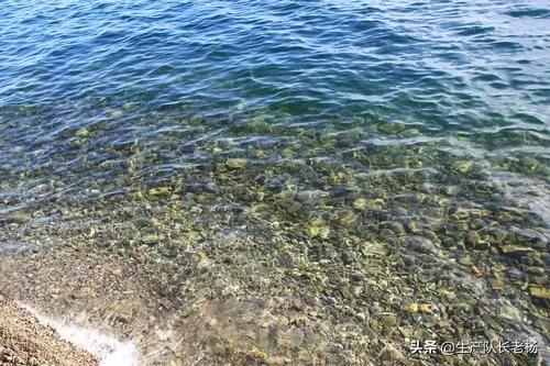 饥荒人们为什么不捕鱼？