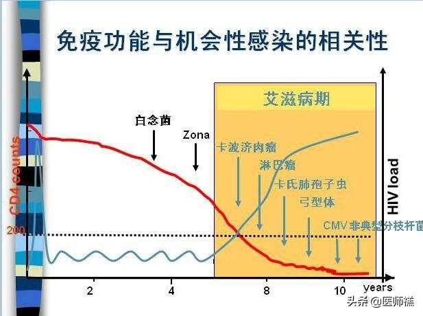 寄生虫感染的免疫:寄生虫感染的免疫类型 hiv主要侵害哪种细胞？主要有哪些症状？